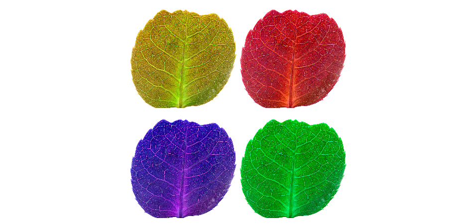 Đo fluorescein và vật liệu fluorescein